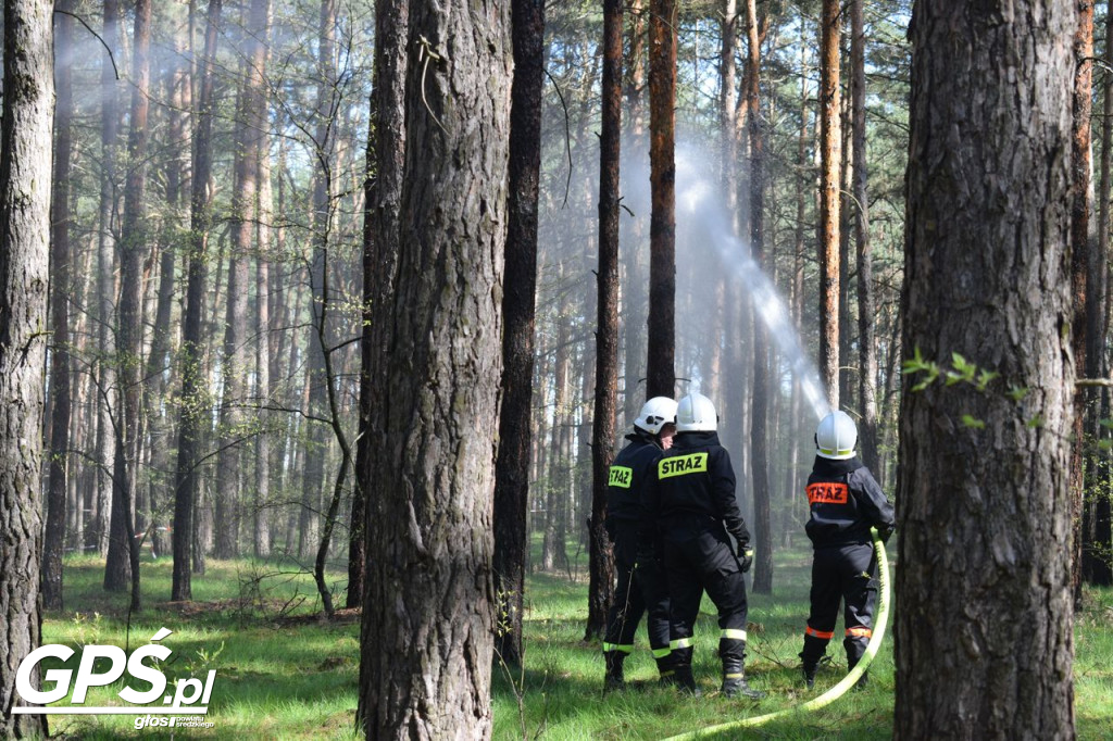 Ćwiczenia strażaków w Rogusku