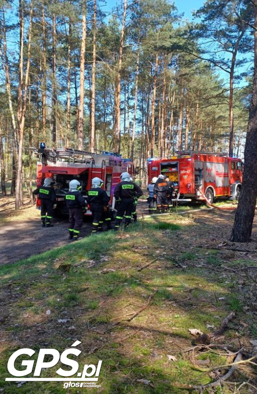 Ćwiczenia strażaków w Rogusku
