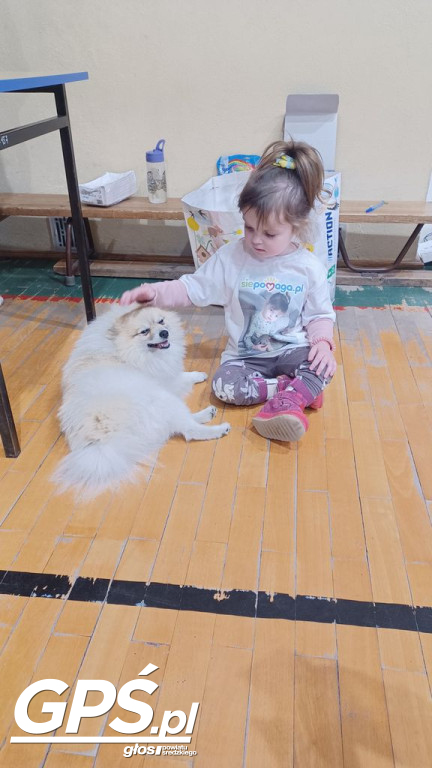 Piknik Charytatywny dla Mai Kujawy