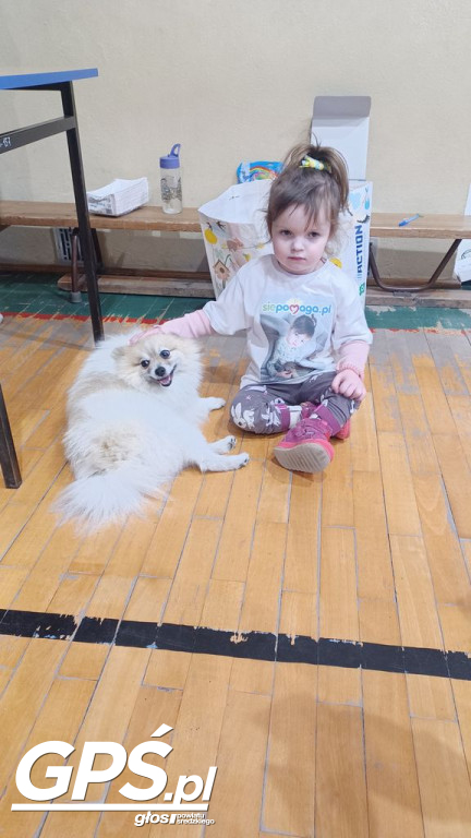 Piknik Charytatywny dla Mai Kujawy