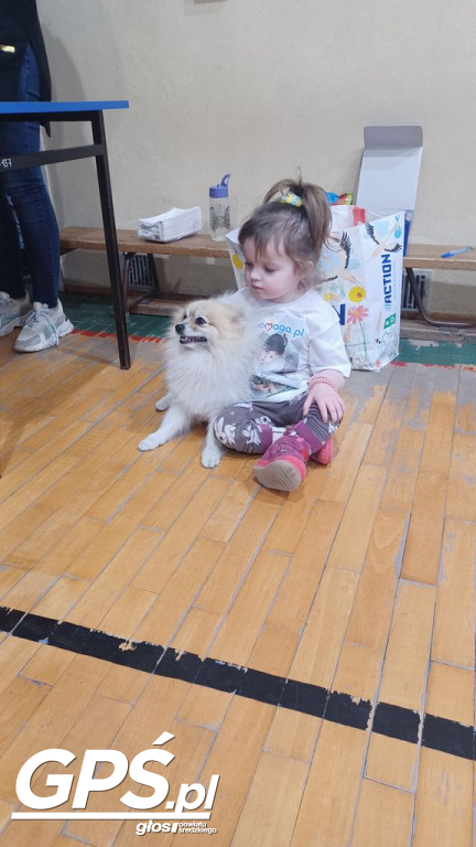 Piknik Charytatywny dla Mai Kujawy