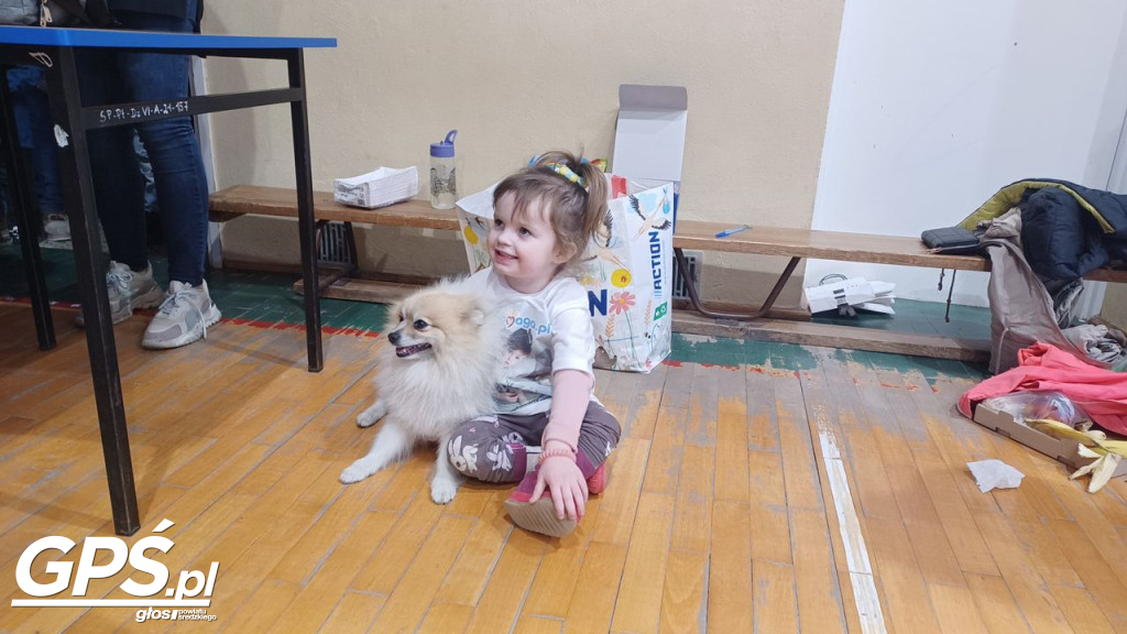 Piknik Charytatywny dla Mai Kujawy