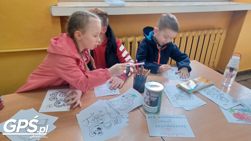 Piknik Charytatywny dla Mai Kujawy
