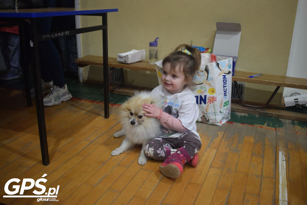 Piknik Charytatywny dla Mai Kujawy