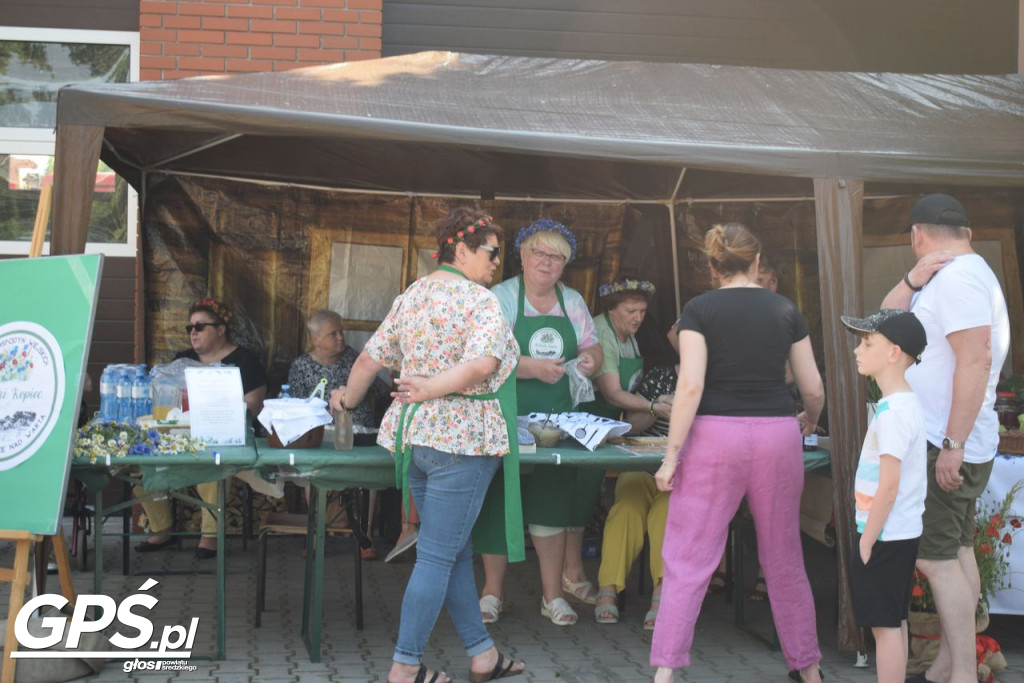 Gminny Dzień Dziecka i Wioska Słowiańska w Nowym Mieście