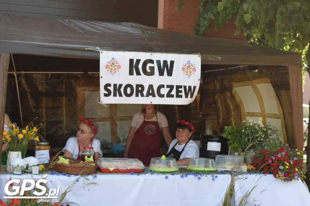 Gminny Dzień Dziecka i Wioska Słowiańska w Nowym Mieście