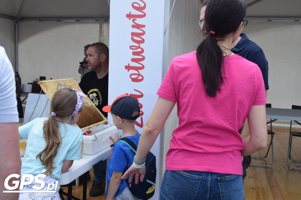 Piknik rodzinny i drzwi otwarte w cukrowni część 2