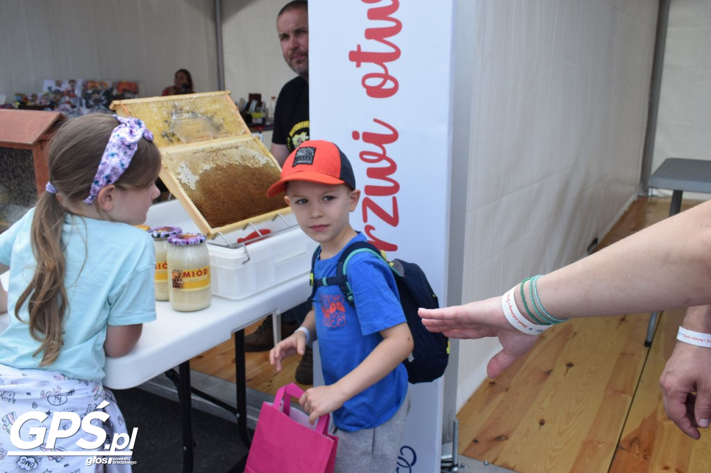 Piknik rodzinny i drzwi otwarte w cukrowni część 2