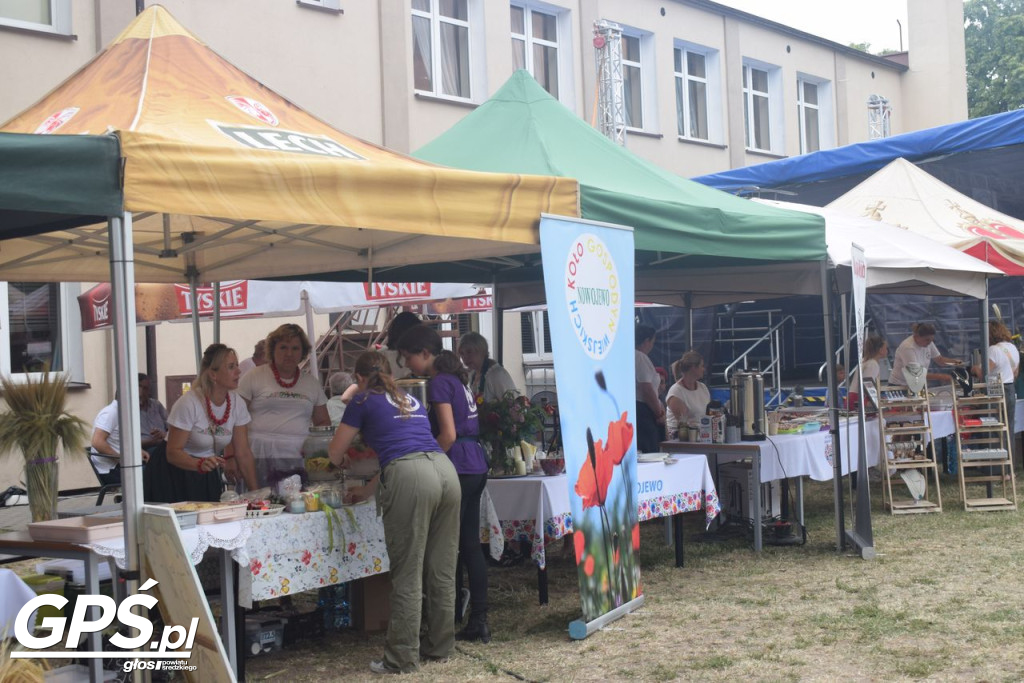Biała Niedziela w Dominowie