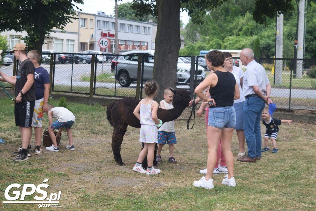 Biała Niedziela w Dominowie