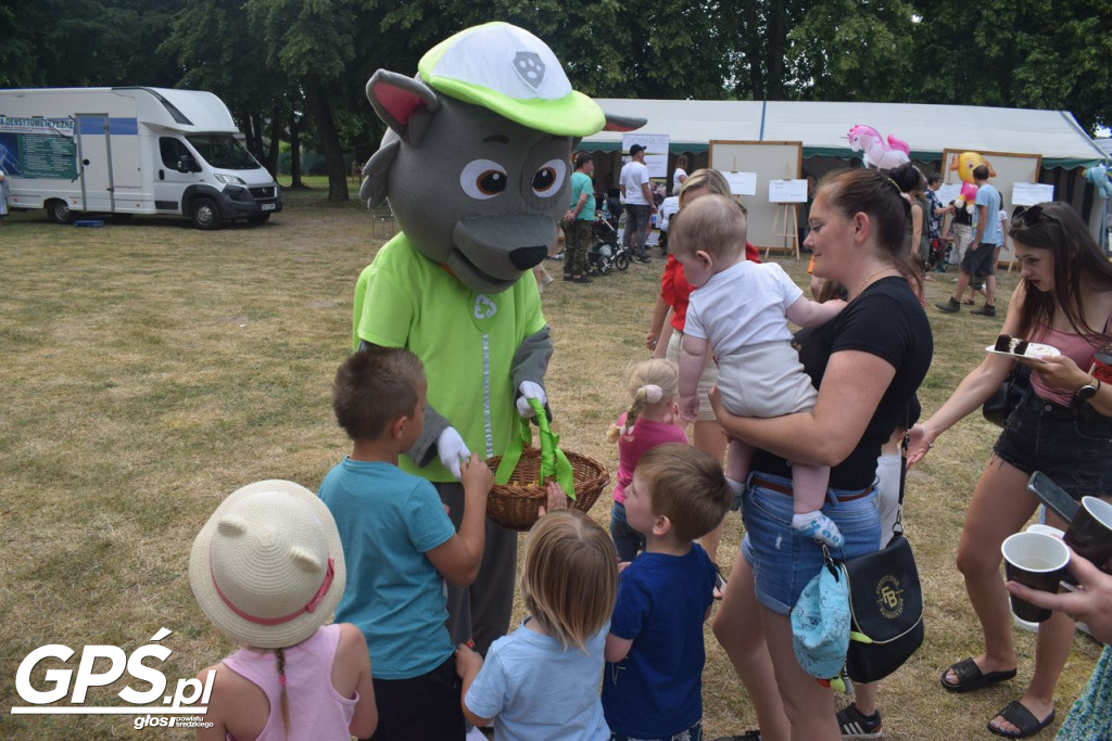 Biała Niedziela w Dominowie