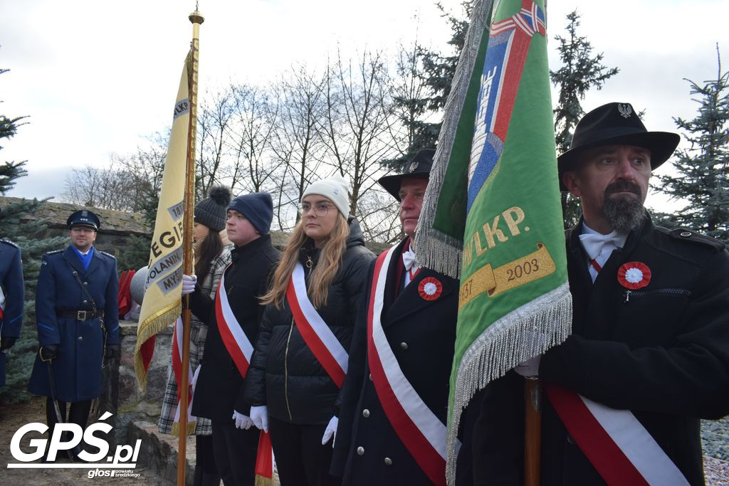 Obchody 105. rocznicy wybuchu Powstania Wielkopolskiego
