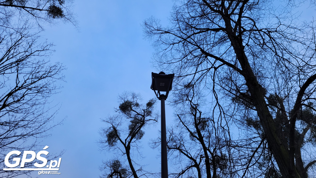 Nowe oblicze Parku Planty