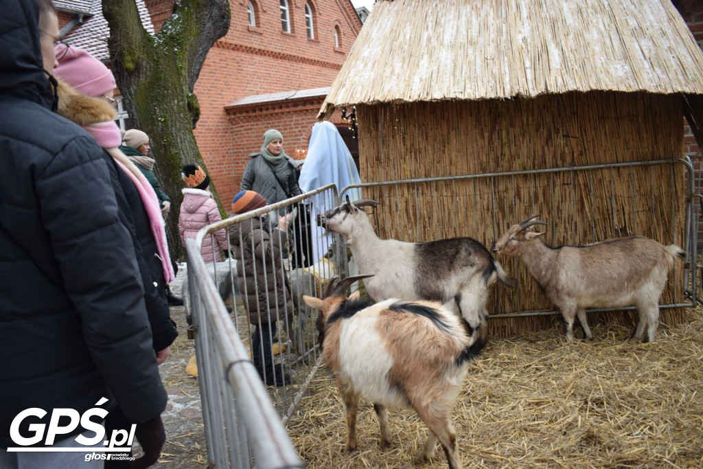 Orszak Trzech Króli w Środzie