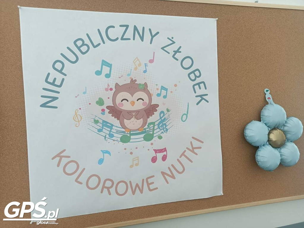 Niepubliczny Żłobek \