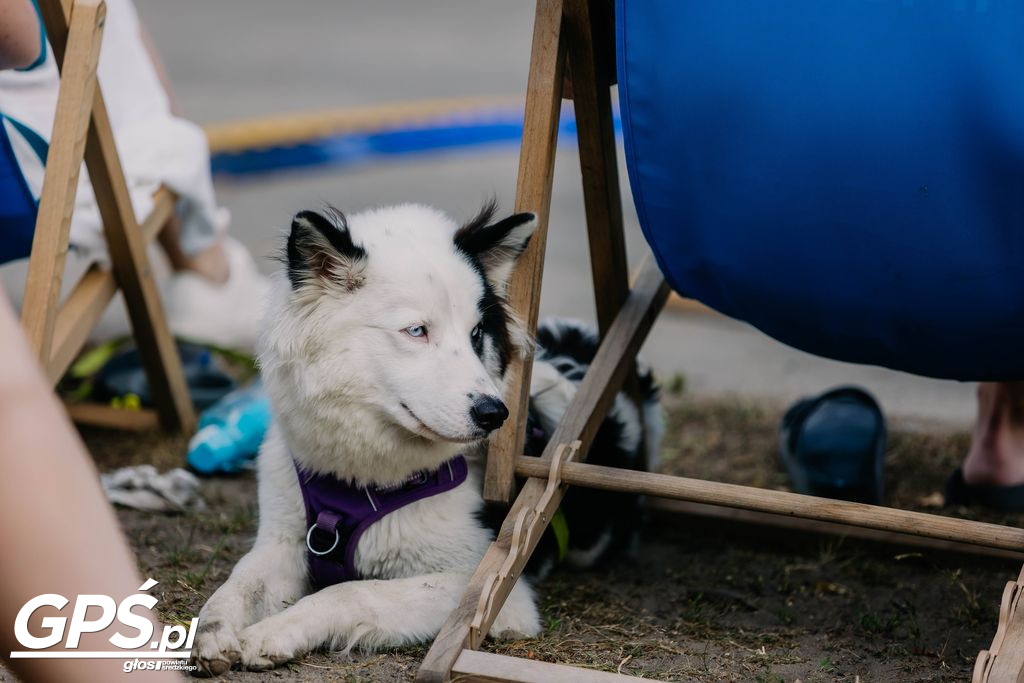 6. Zaniemyski Festiwal Przygód - dzień drugi