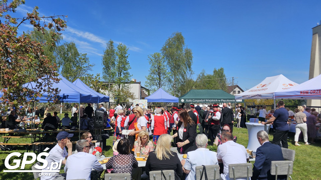 Piknik Parafialny w Orzechowie
