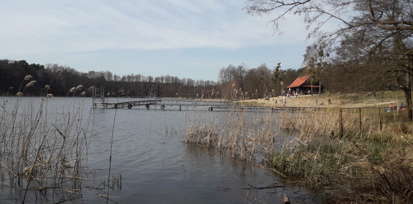 Przeźroczystość wody wynosi już 1,3 metra   