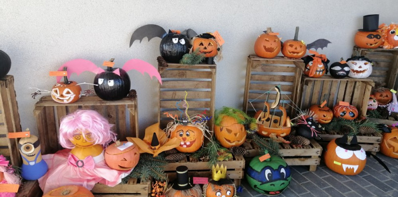 Cuda z dyni, czyli dynia inaczej