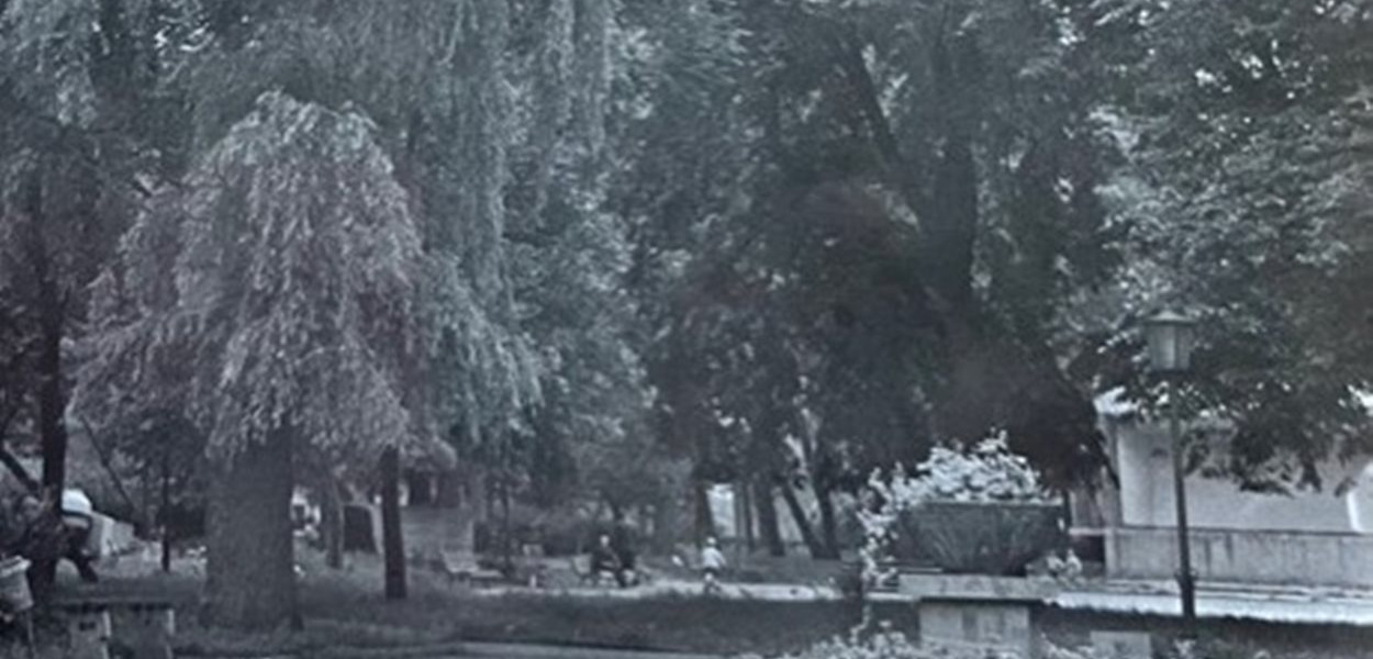 Planty – kultowy średzki park