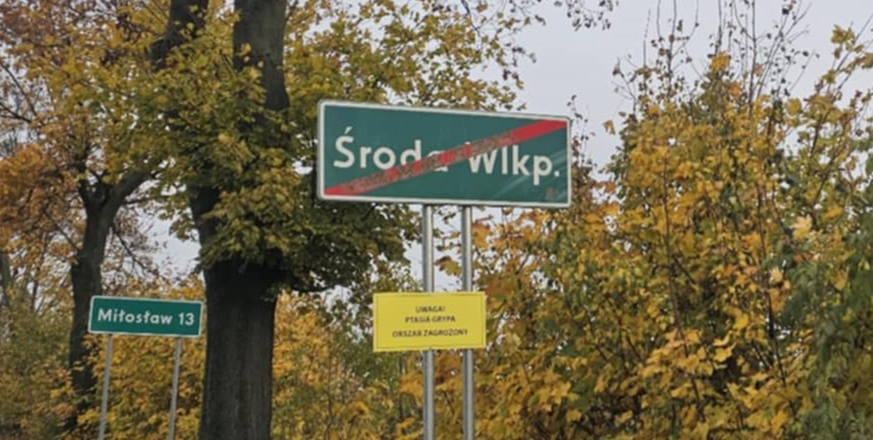 Już pięć ognisk ptasiej grypy w regionie, w tym trzy w gminie Środa!