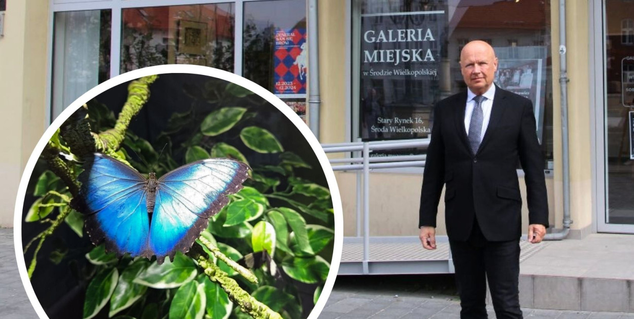 Magiczny świat motyli zawita do Środy Wielkopolskiej