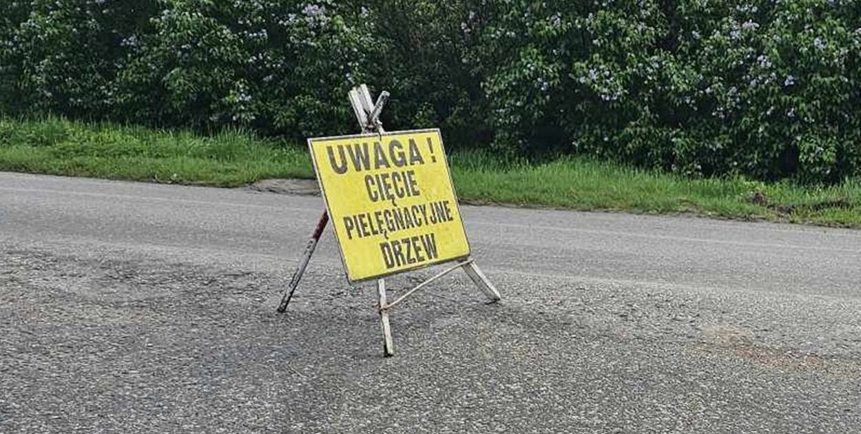 Tragiczny wypadek podczas wycinki drzew