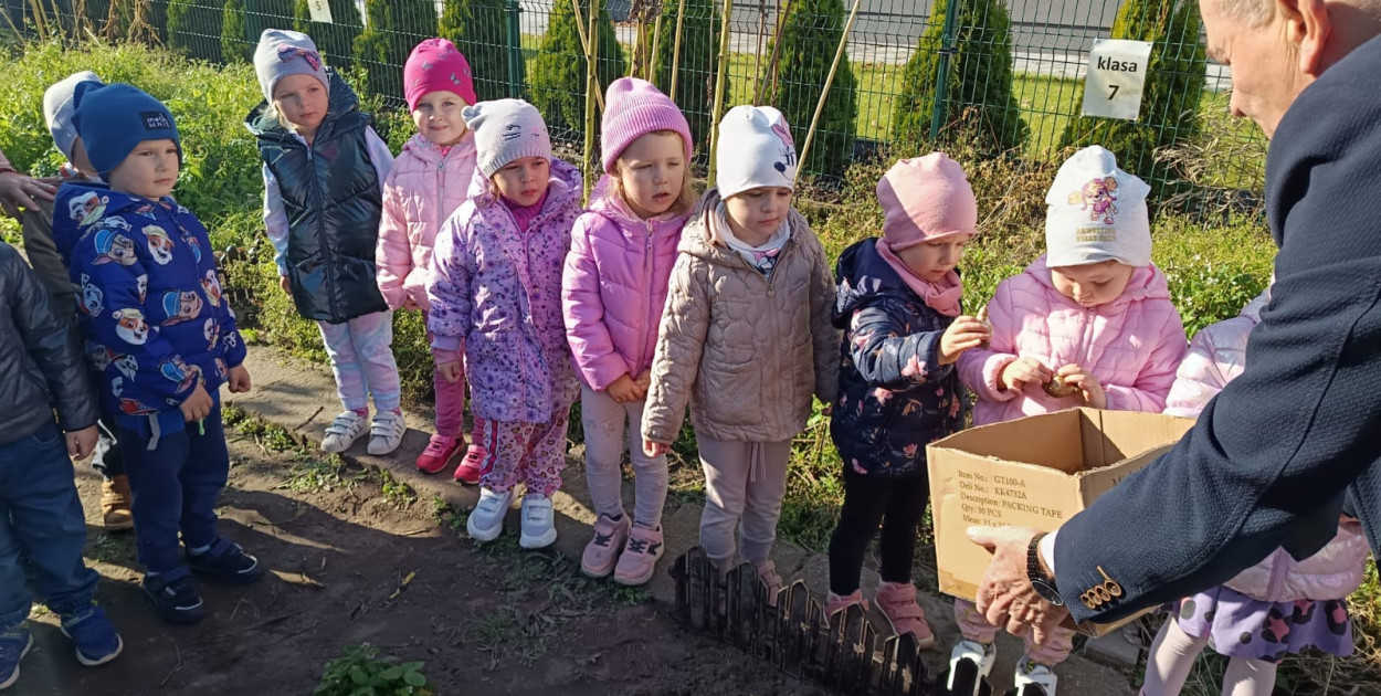 W sadzeniu brały udział wszystkie klasy Fot. Szkoła Podstawowa im. Jana Pawła II w Dominowie