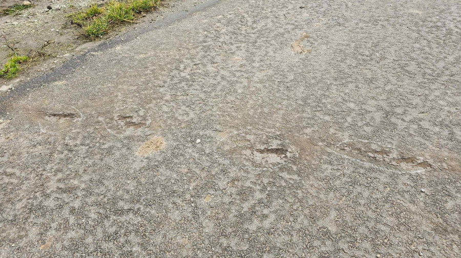 Uszkodzenia nawierzchni ścieżki między Włostowem a nową obwodnicą