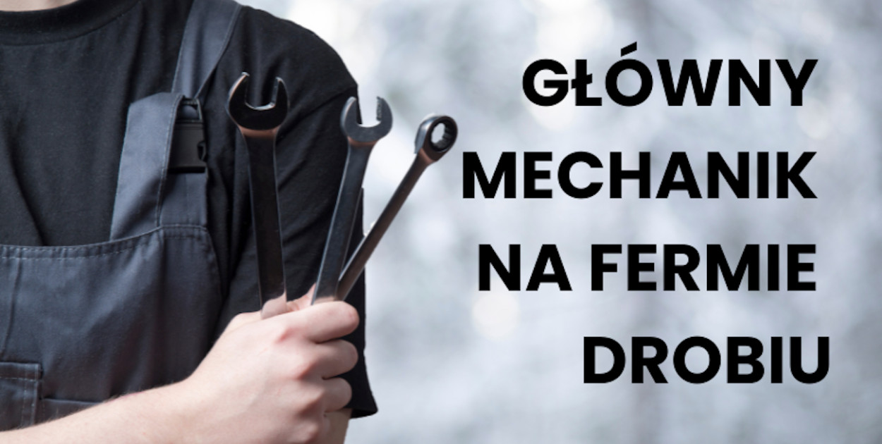 Gospodarstwo Rolne Rafał Ratajczak zatrudni głównego mechanika na fermie drobiu.