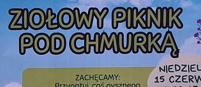 Ziołowy piknik pod chmurką-3120