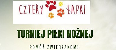 Turniej piłki nożnej - pomóż zwierzakom-3131