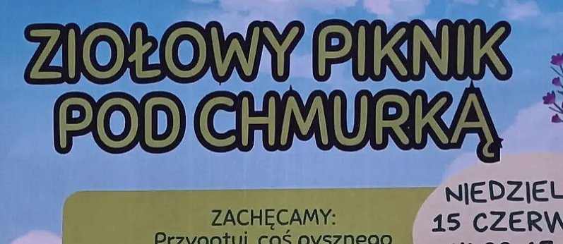 Ziołowy piknik pod chmurką