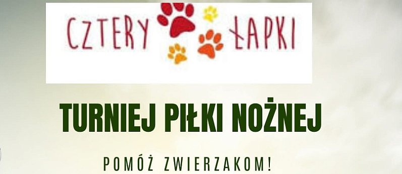 Turniej piłki nożnej - pomóż zwierzakom