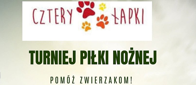 Turniej piłki nożnej - pomóż zwierzakom-3131