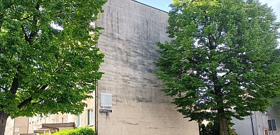 Planują nowy mural. Pojawi się na jednym z bloków-21309