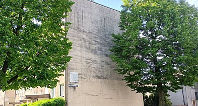 Planują nowy mural. Pojawi się na jednym z bloków-21309