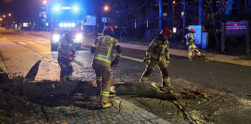 Minionej doby strażacy interweniowali 1578 razy w związku z burzami - 21612