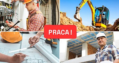 Przybylski z Kostrzyna zatrudni pracowników na kilka stanowisk-21728
