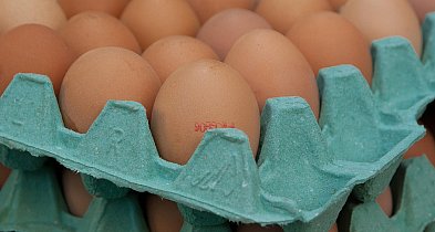 Salmonella na jajach znanej marki. Nie jedz, jeśli masz je w lodówce!-21952