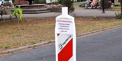 Ruszyła modernizacja ulicy Raczyńskiego-22036