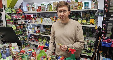 Walka ze szkodnikami i chorobami w ogrodzie – skuteczne sposoby ochrony roślin-22172