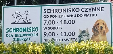 Potrzebne miliony na budowę nowego schroniska-22588