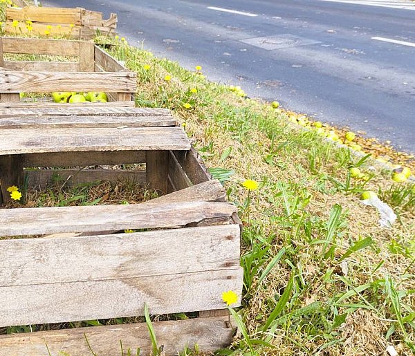 U sąsiadów: Uderzył w wiadukt, zgubił część ładunku. Miał ponad 2 promile-22712