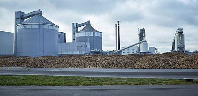 Rozpoczęła się kampania buraczana. Będą zmiany-22770