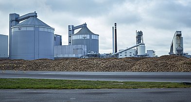 Rozpoczęła się kampania buraczana. Będą zmiany-22770