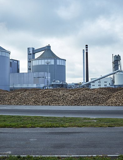 Rozpoczęła się kampania buraczana. Będą zmiany-22770
