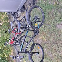 zdjecie ogloszenia
