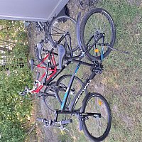 zdjecie ogloszenia
