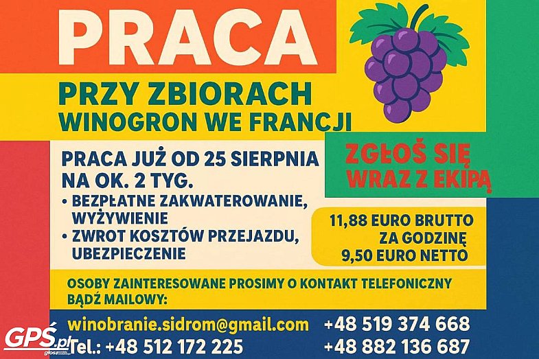 zdjecie ogloszenia
